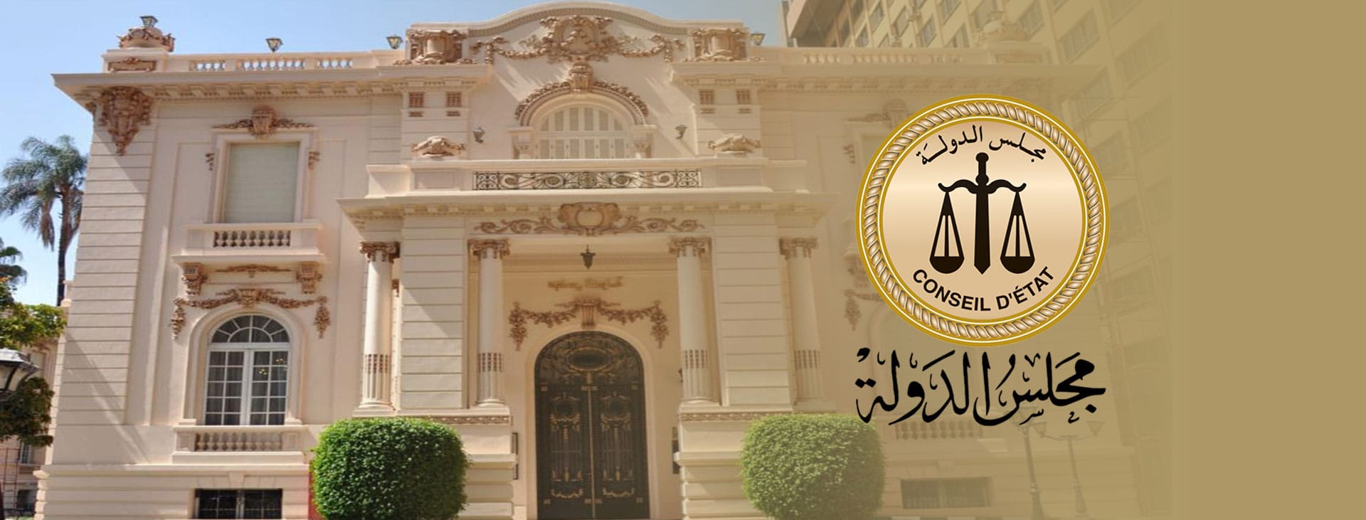 مجلس الدولة